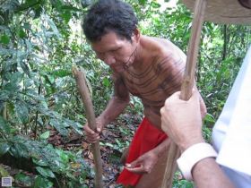 Embera shaman teaching about rainforest medicine plants – Best Places In The World To Retire – International Living
